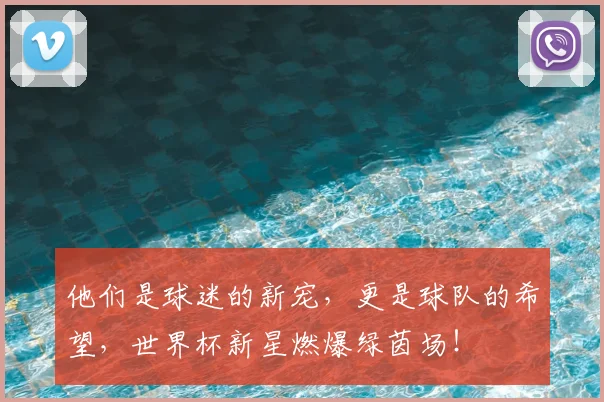他们是球迷的新宠，更是球队的希望，世界杯新星燃爆绿茵场！