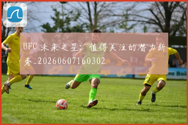 UFC 未来之星：值得关注的潜力新秀_20260607160302