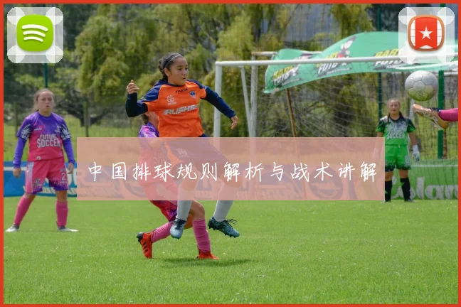 中国排球规则解析与战术讲解
