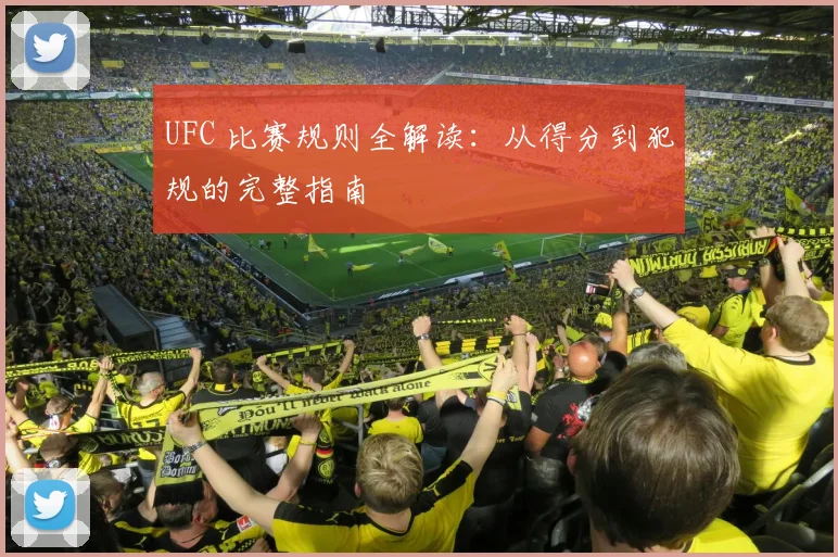 UFC 比赛规则全解读:从得分到犯规的完整指南