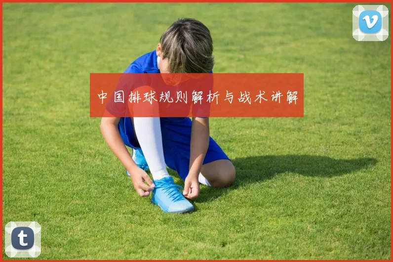 中国排球规则解析与战术讲解